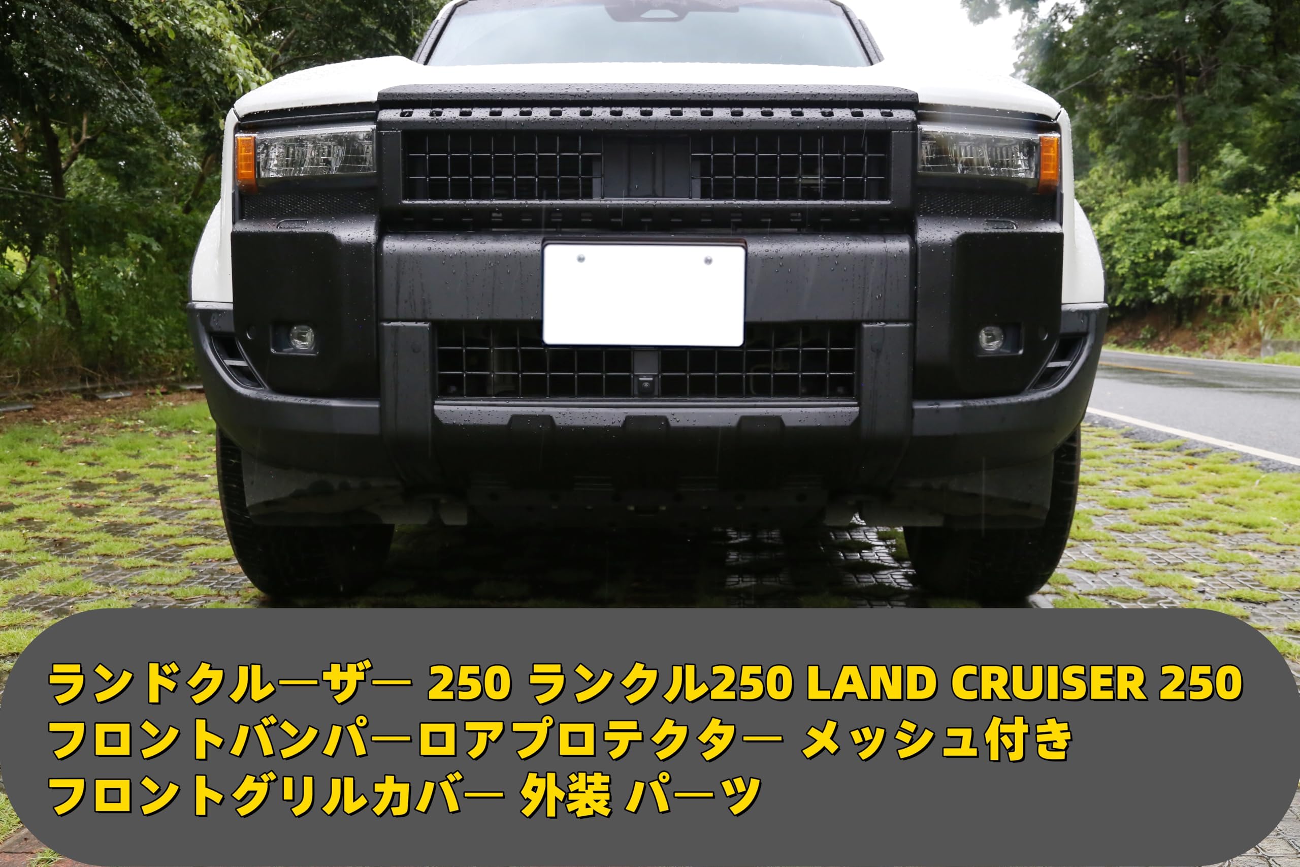菓子 １０点 ランクル250 ランドクルーザー 0 ランドクルーザー250 パーツ